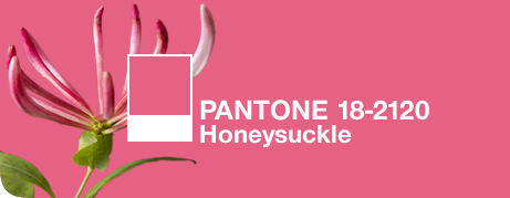 Pantone Colour of the Year